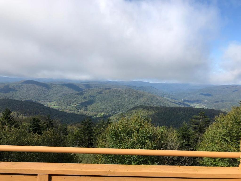 301 D Summit Dr. , Snowshoe Mountains, Wv 26209 Luaran gambar